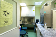 Virtual tour, side photo 1